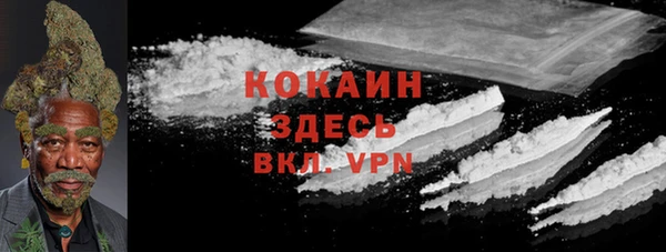 индика Белокуриха