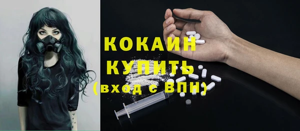 индика Белокуриха