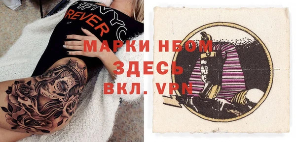 индика Белокуриха