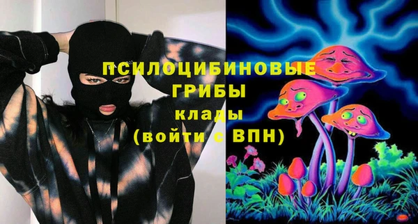 индика Белокуриха
