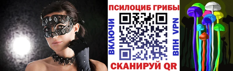 Галлюциногенные грибы Psilocybe  Купино 